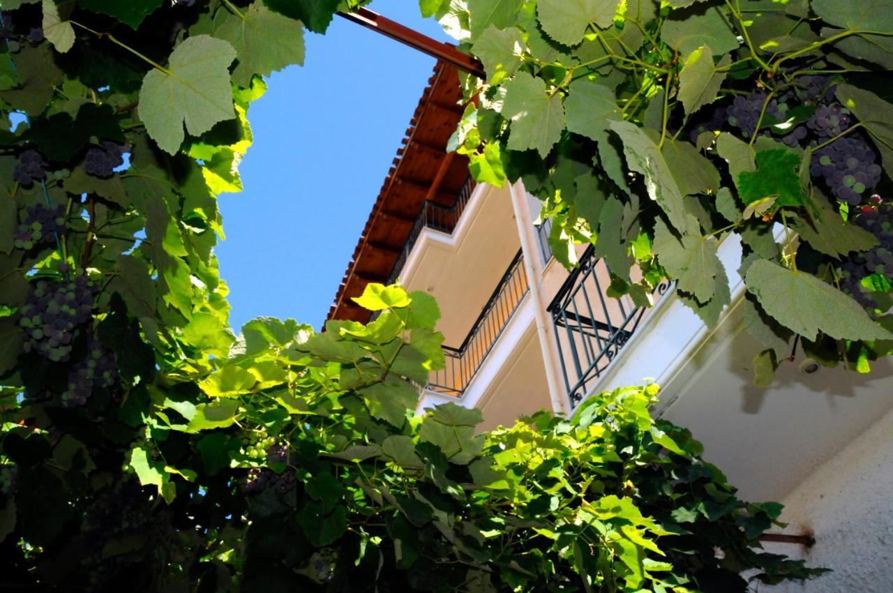Boutique Hotel Parnassia Arachova Dış mekan fotoğraf