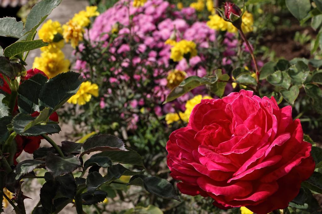 Boutique Hotel Parnassia Arachova Dış mekan fotoğraf